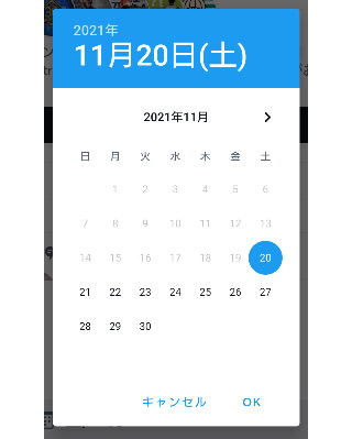 カレンダーから日にちを選択