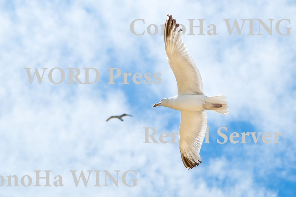 【2023年】ConoHa WING(コノハウイング)の評判は?